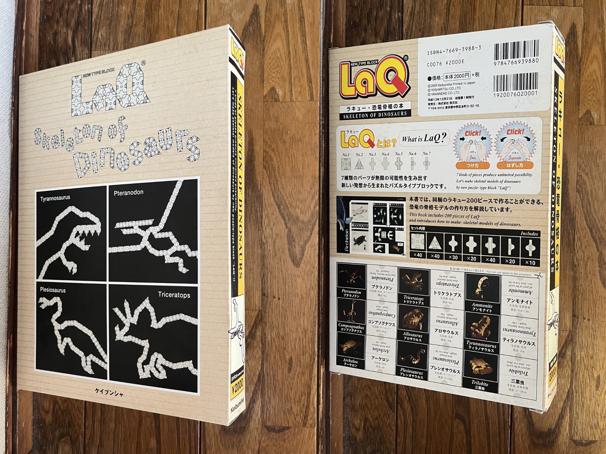 Untitled design